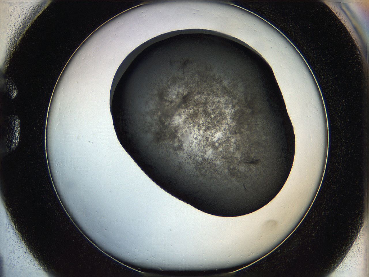 05kf_G1_ImagerDefaults_6.jpg