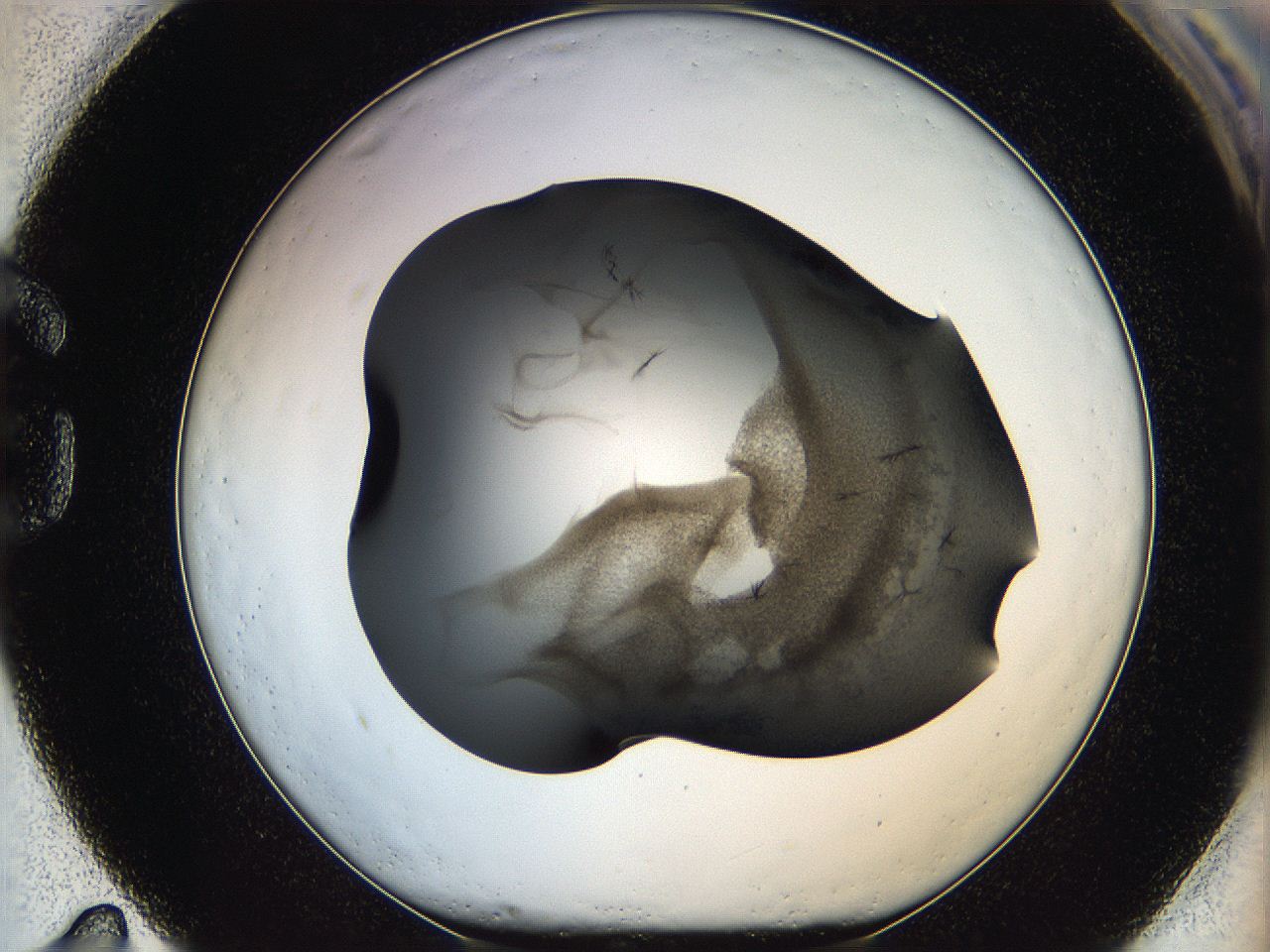 05kf_G11_ImagerDefaults_6.jpg