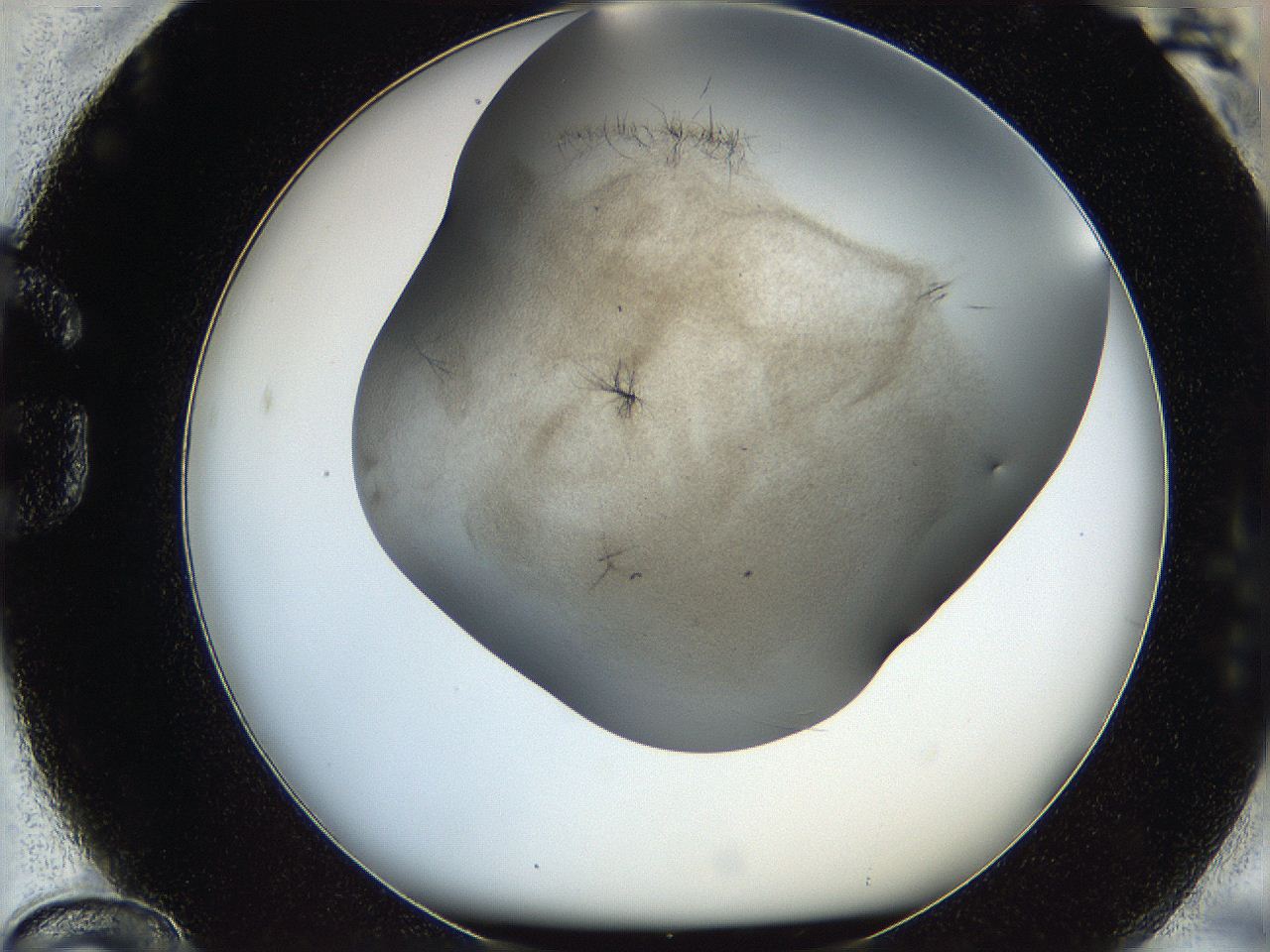 05kf_G12_ImagerDefaults_6.jpg