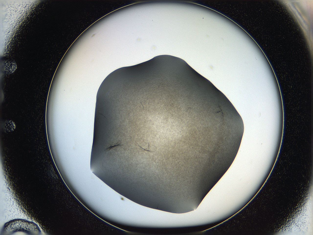 05kf_E10_ImagerDefaults_6.jpg