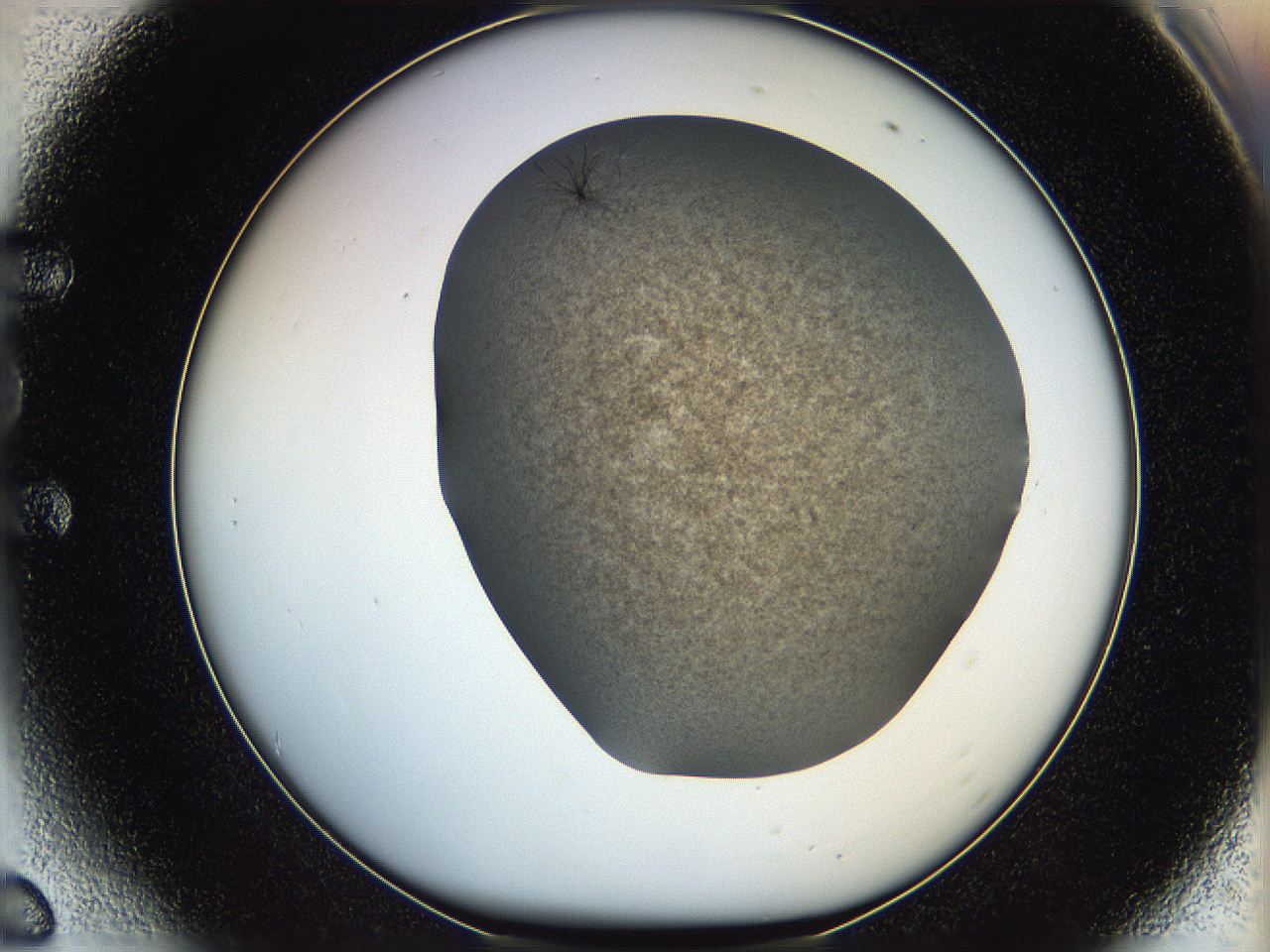 05kf_E6_ImagerDefaults_6.jpg