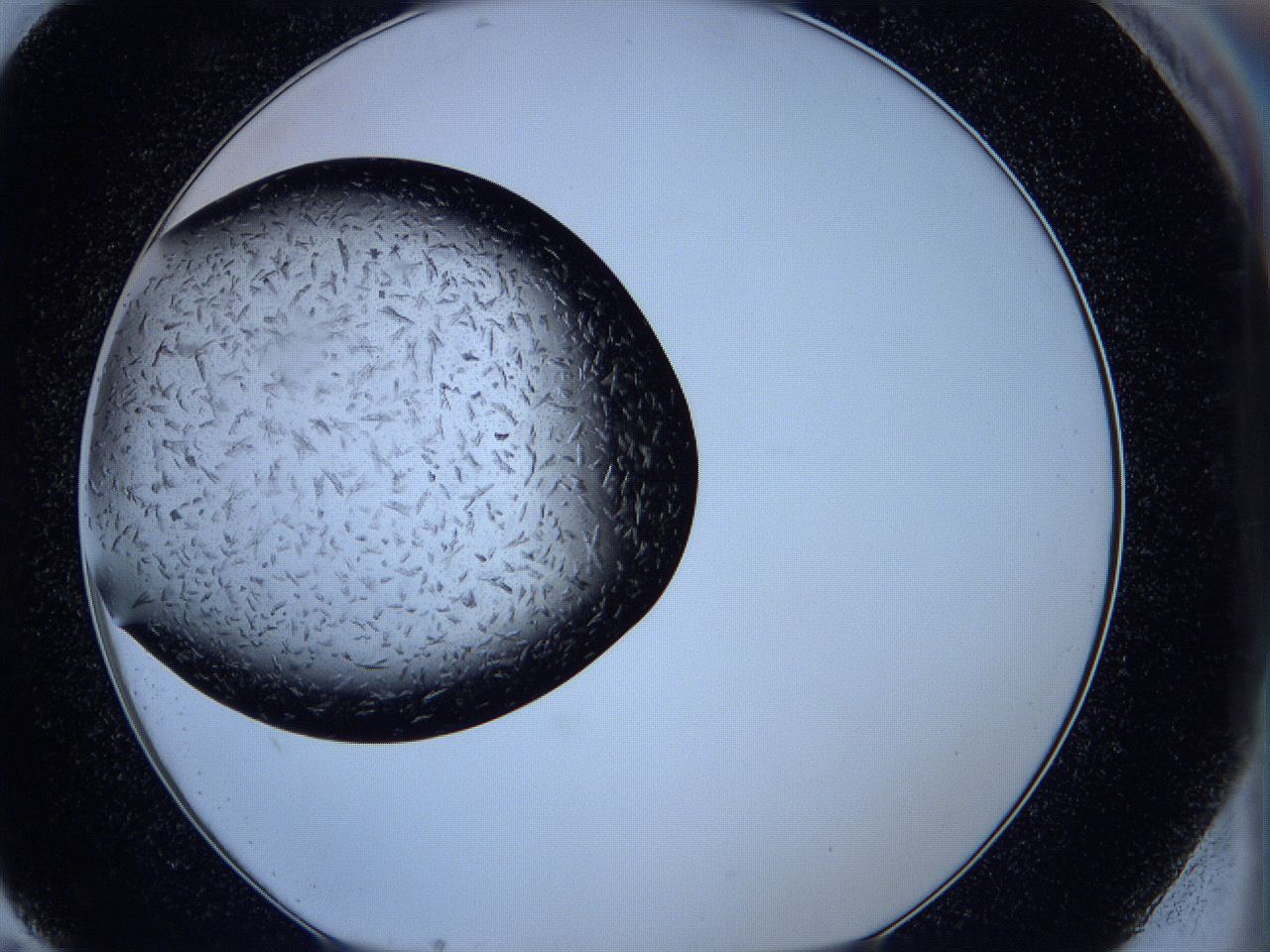 05ko_G11_ImagerDefaults_6.jpg