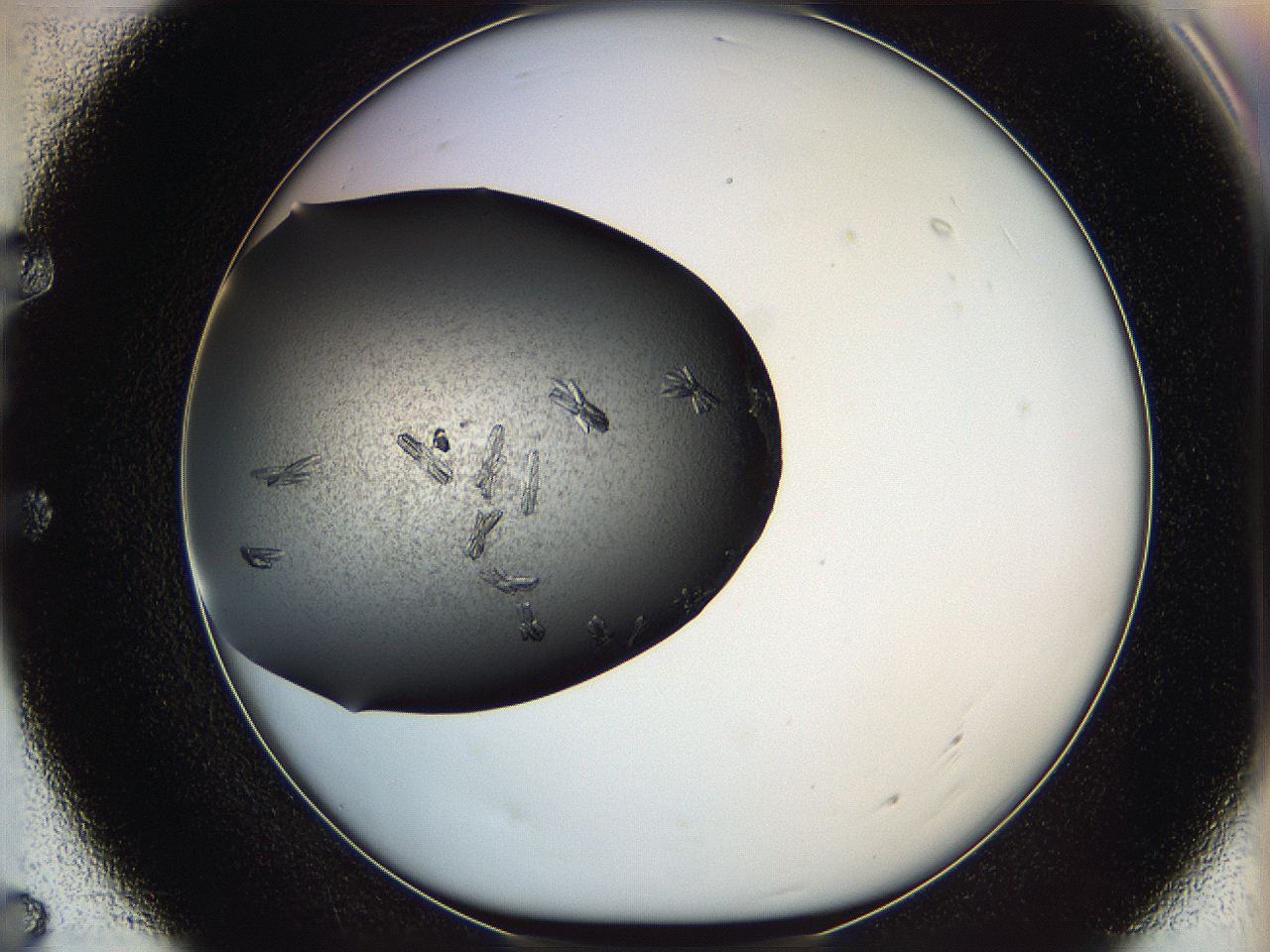 05kp_E7_ImagerDefaults_8.jpg