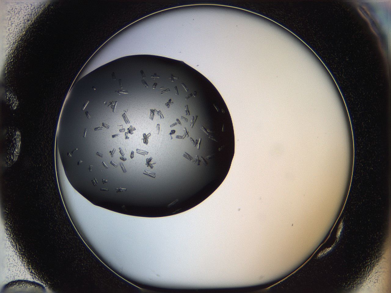 05kp_G10_ImagerDefaults_7.jpg