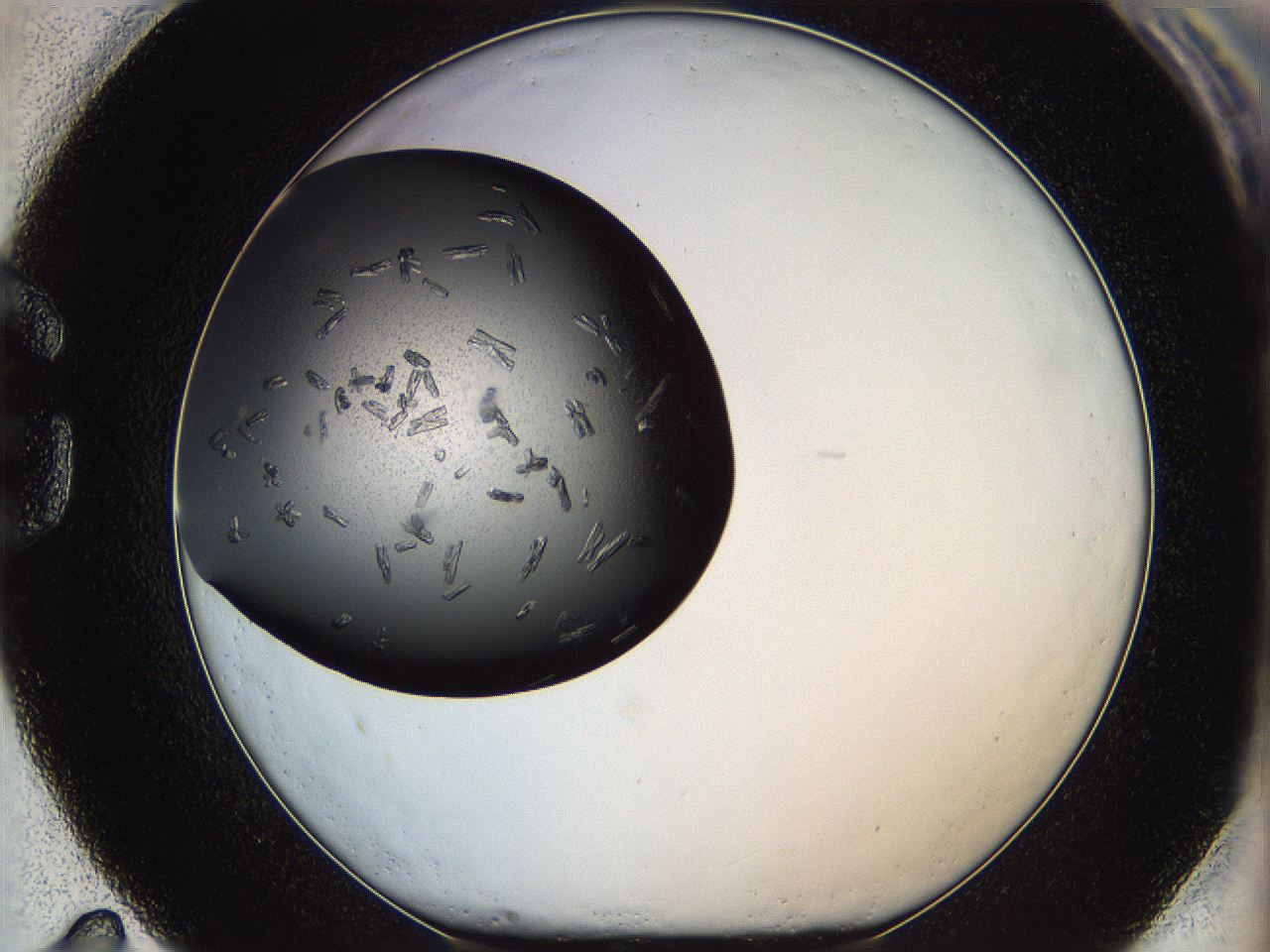 05kp_G11_ImagerDefaults_8.jpg