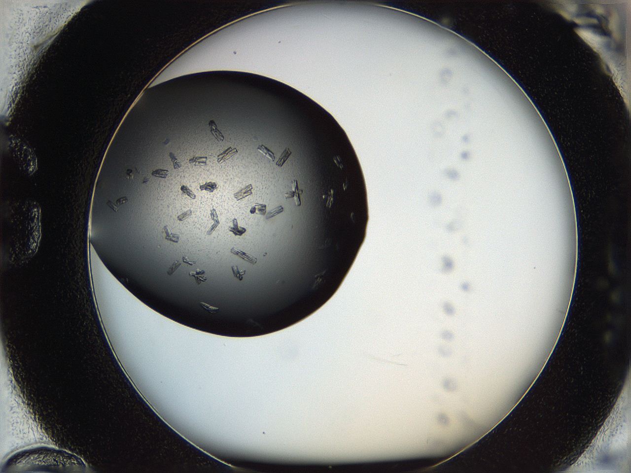 05kp_G12_ImagerDefaults_8.jpg