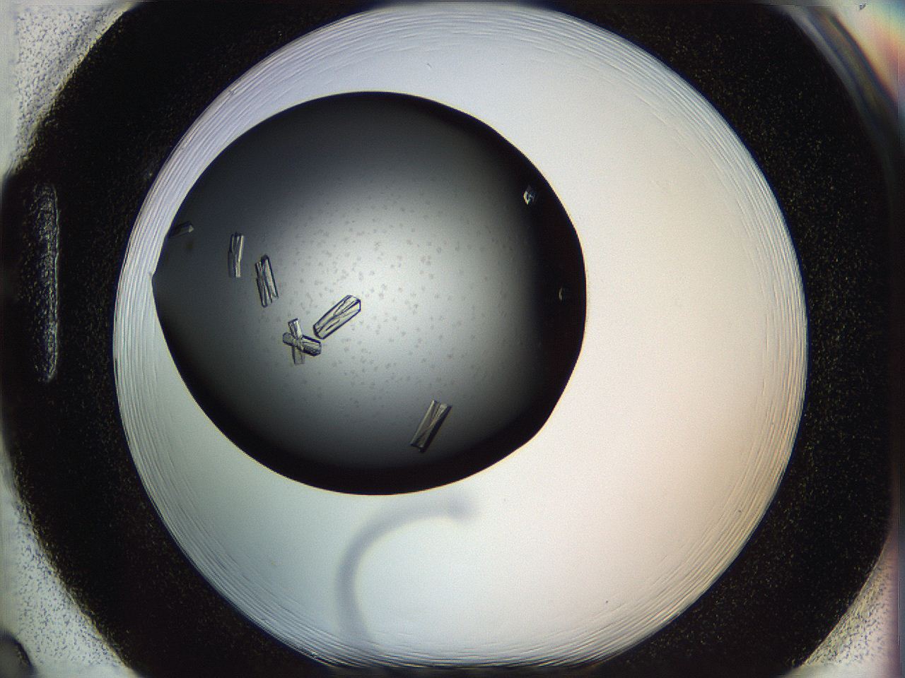 05kp_H2_ImagerDefaults_9.jpg