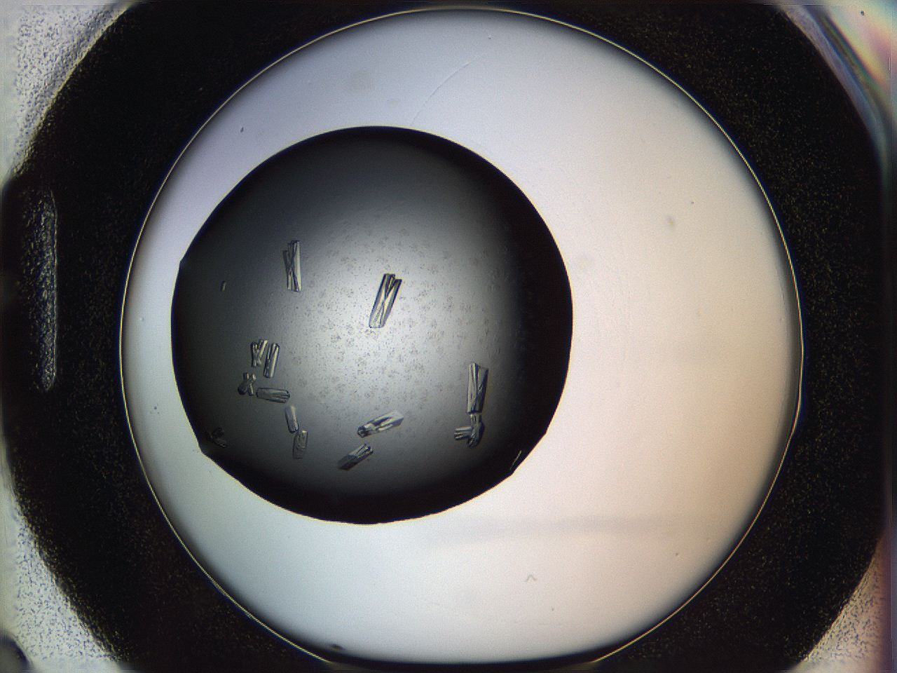 05kp_H3_ImagerDefaults_9.jpg