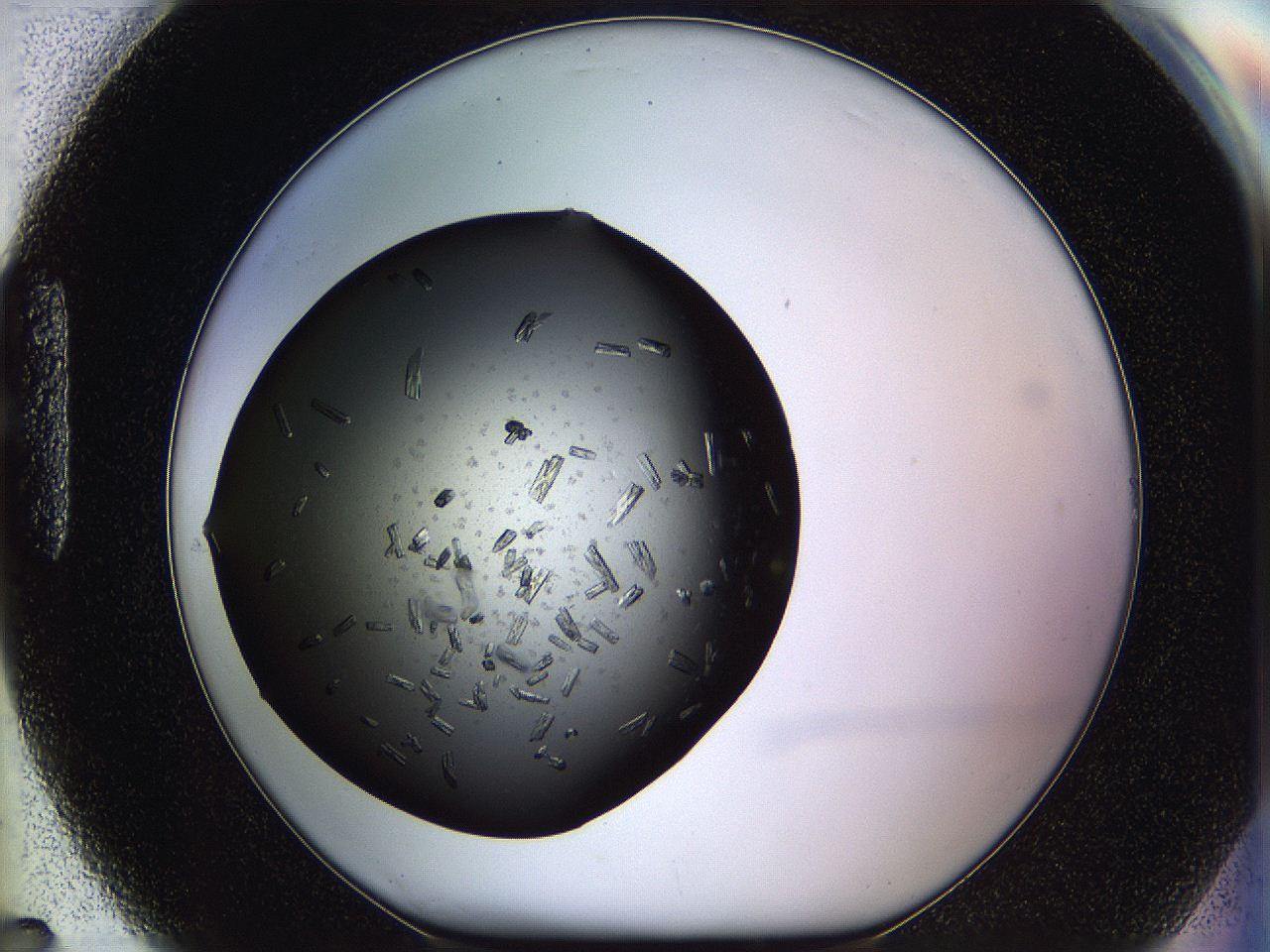 05kp_H7_ImagerDefaults_8.jpg
