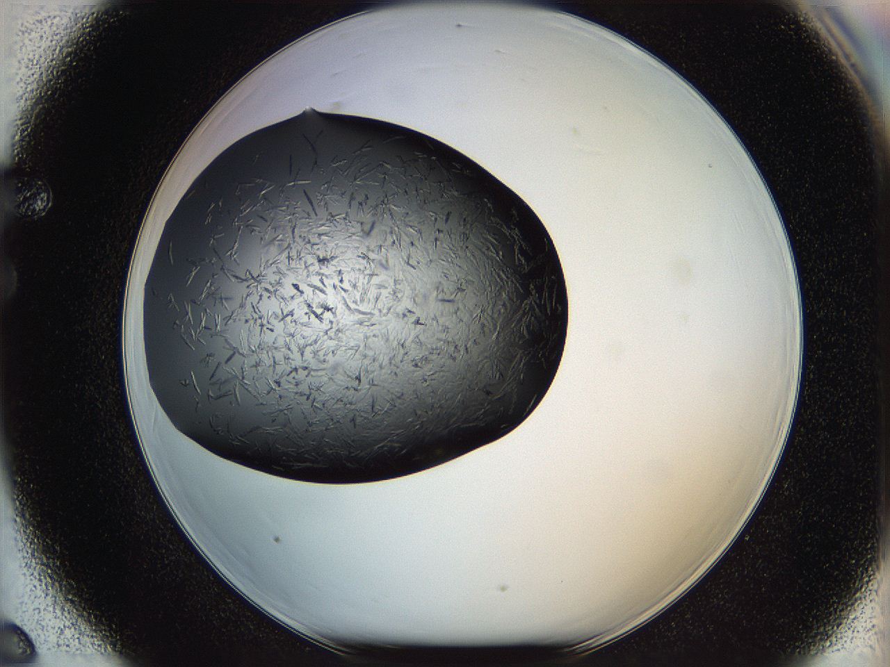 05kp_F6_ImagerDefaults_6.jpg