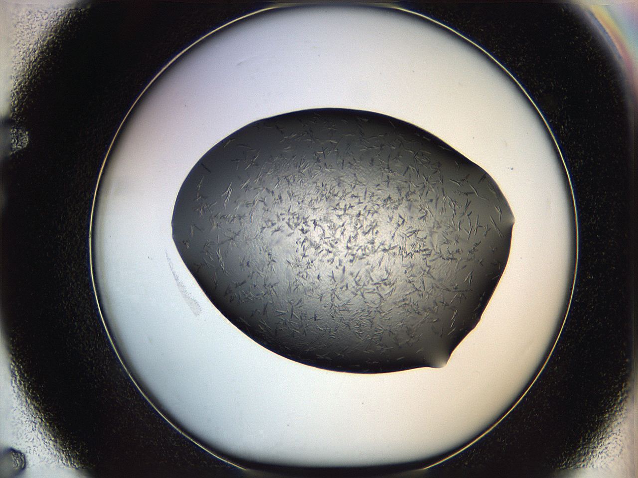 05kp_F7_ImagerDefaults_6.jpg