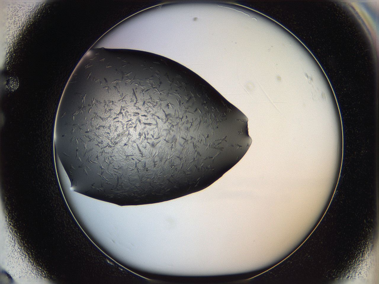 05kp_F8_ImagerDefaults_6.jpg