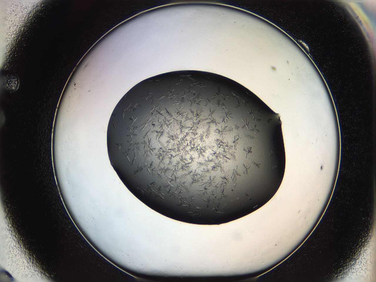 05kp_F9_ImagerDefaults_6.jpg