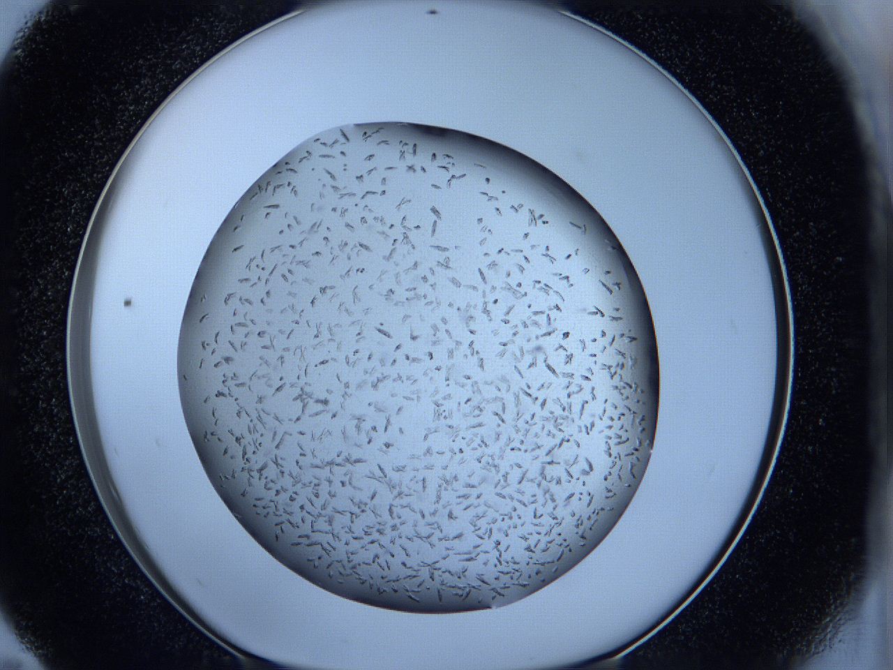 05kq_E11_ImagerDefaults_6.jpg