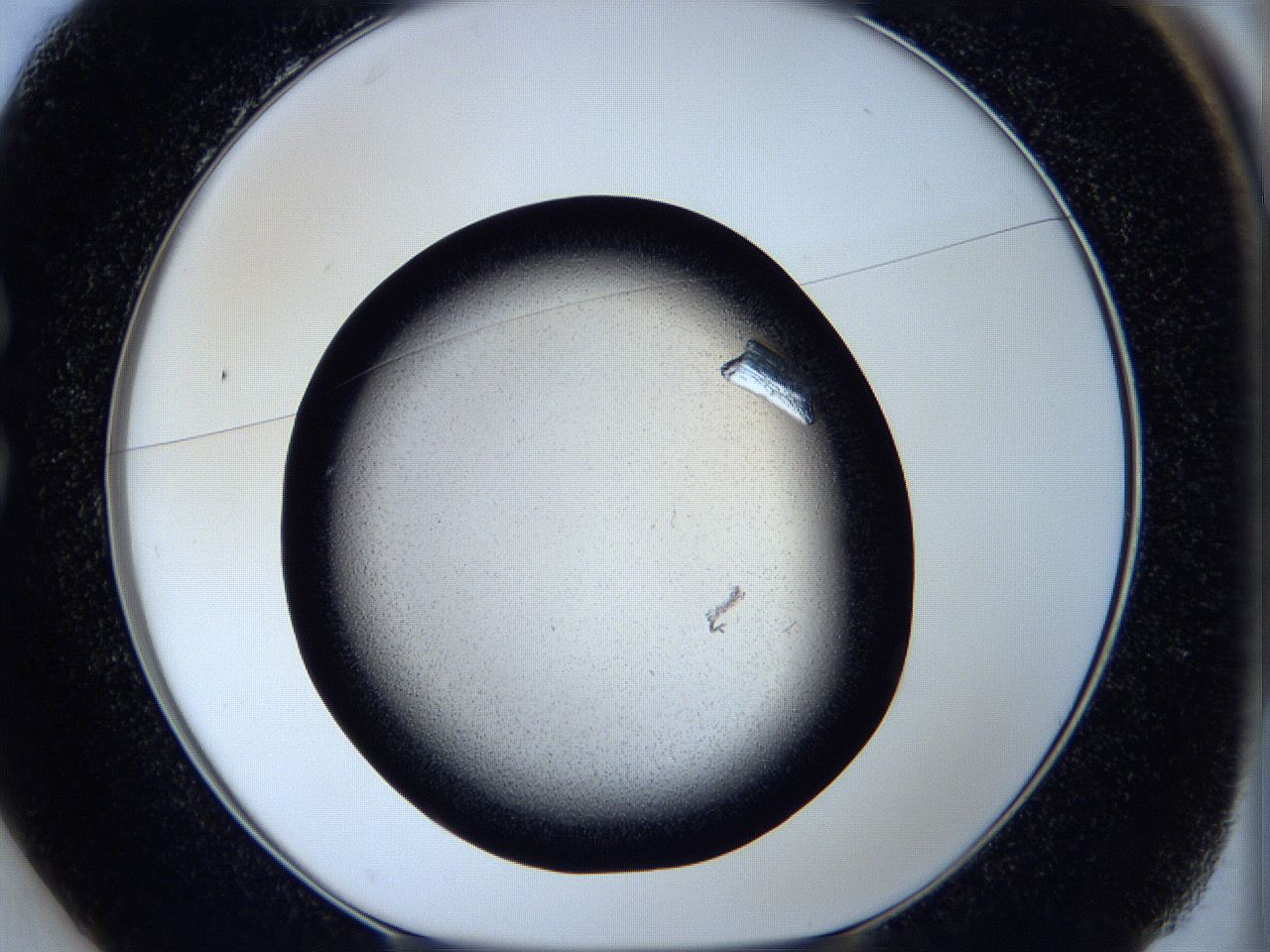 05kq_C1_ImagerDefaults_9.jpg