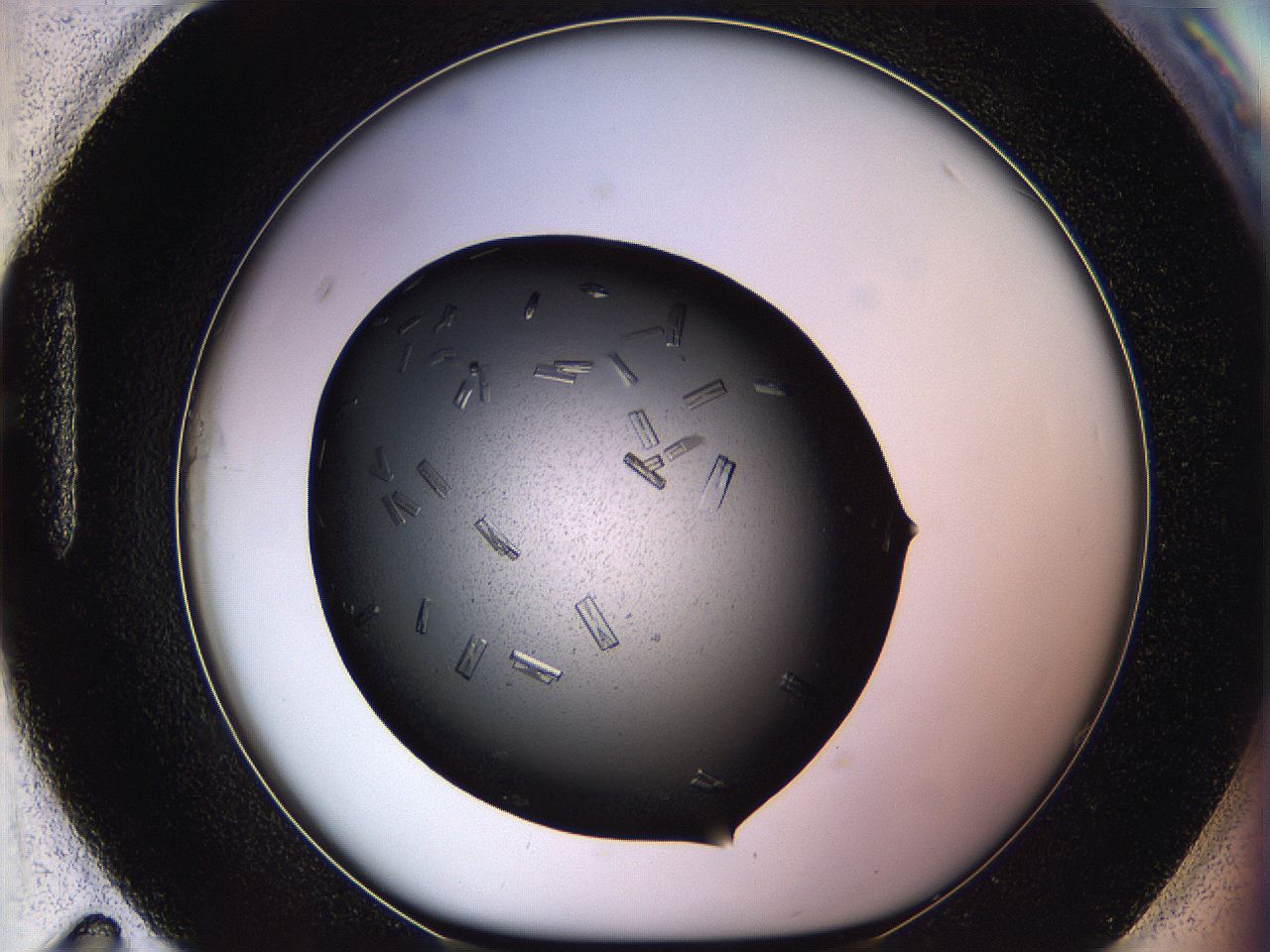 05kr_H11_ImagerDefaults_9.jpg