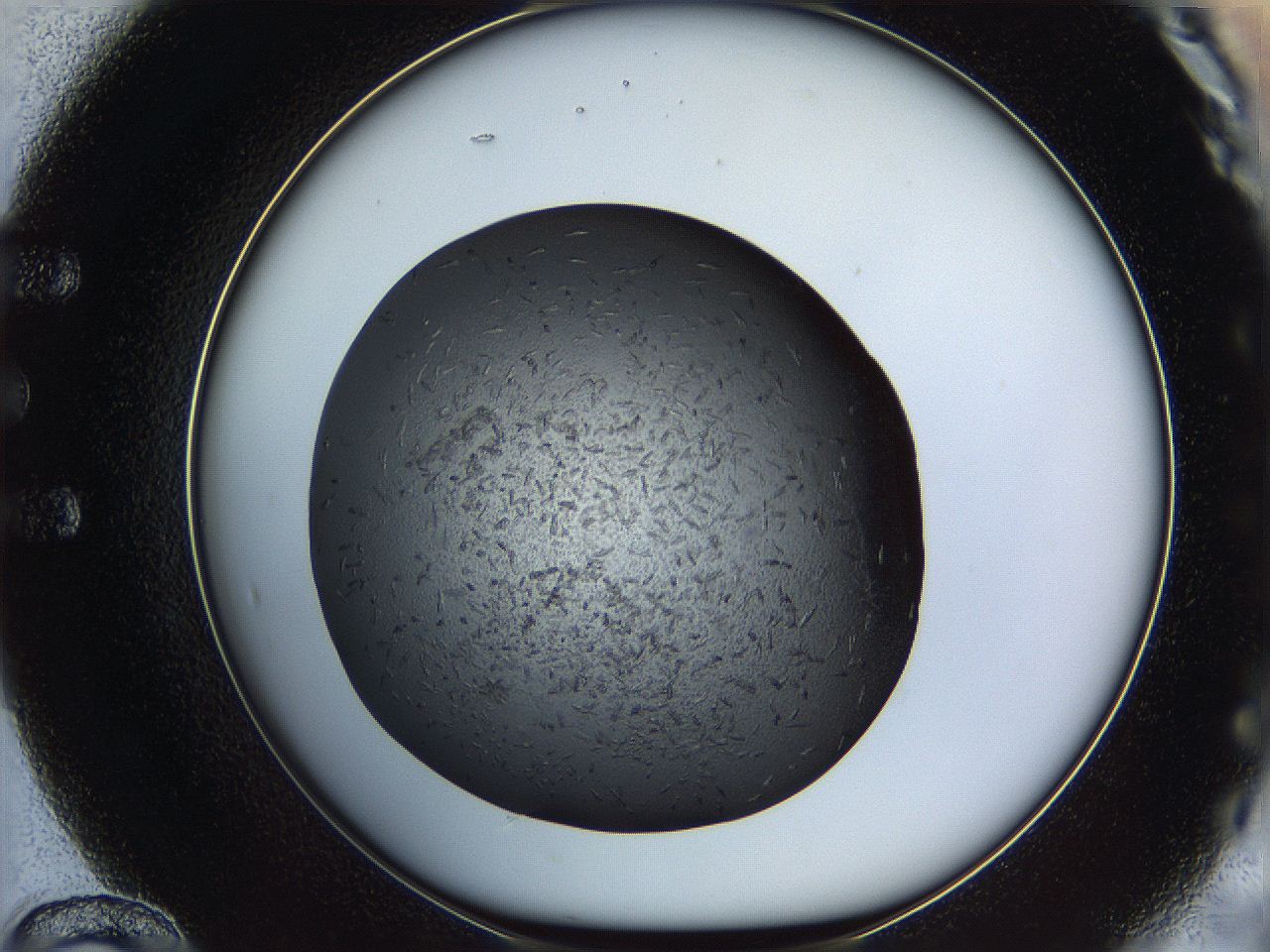 05kr_E12_ImagerDefaults_5.jpg