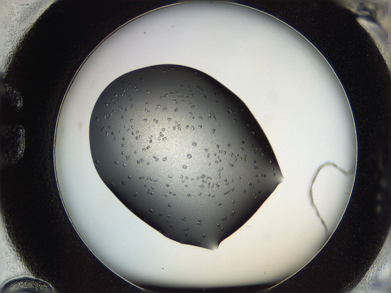 05kr_G12_ImagerDefaults_6.jpg