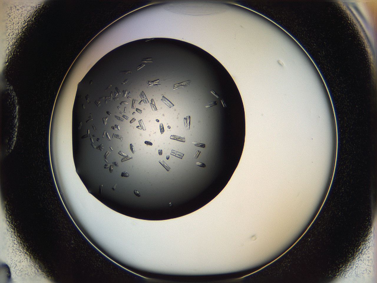 05kr_D4_ImagerDefaults_8.jpg