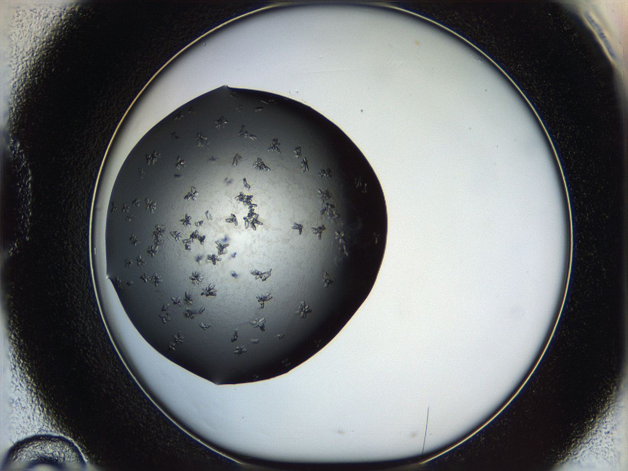 05kr_D10_ImagerDefaults_6.jpg