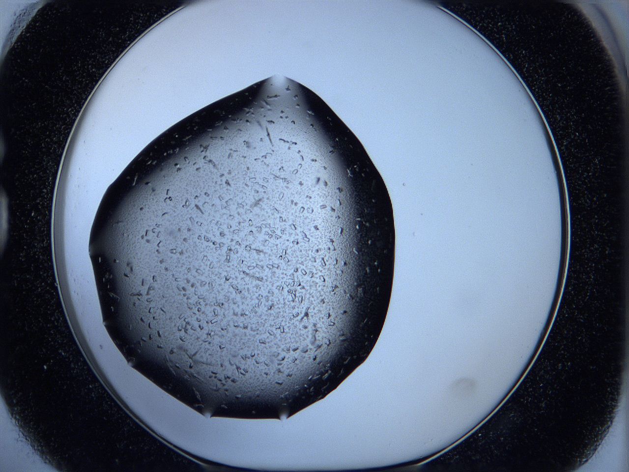 05ks_G1_ImagerDefaults_5.jpg
