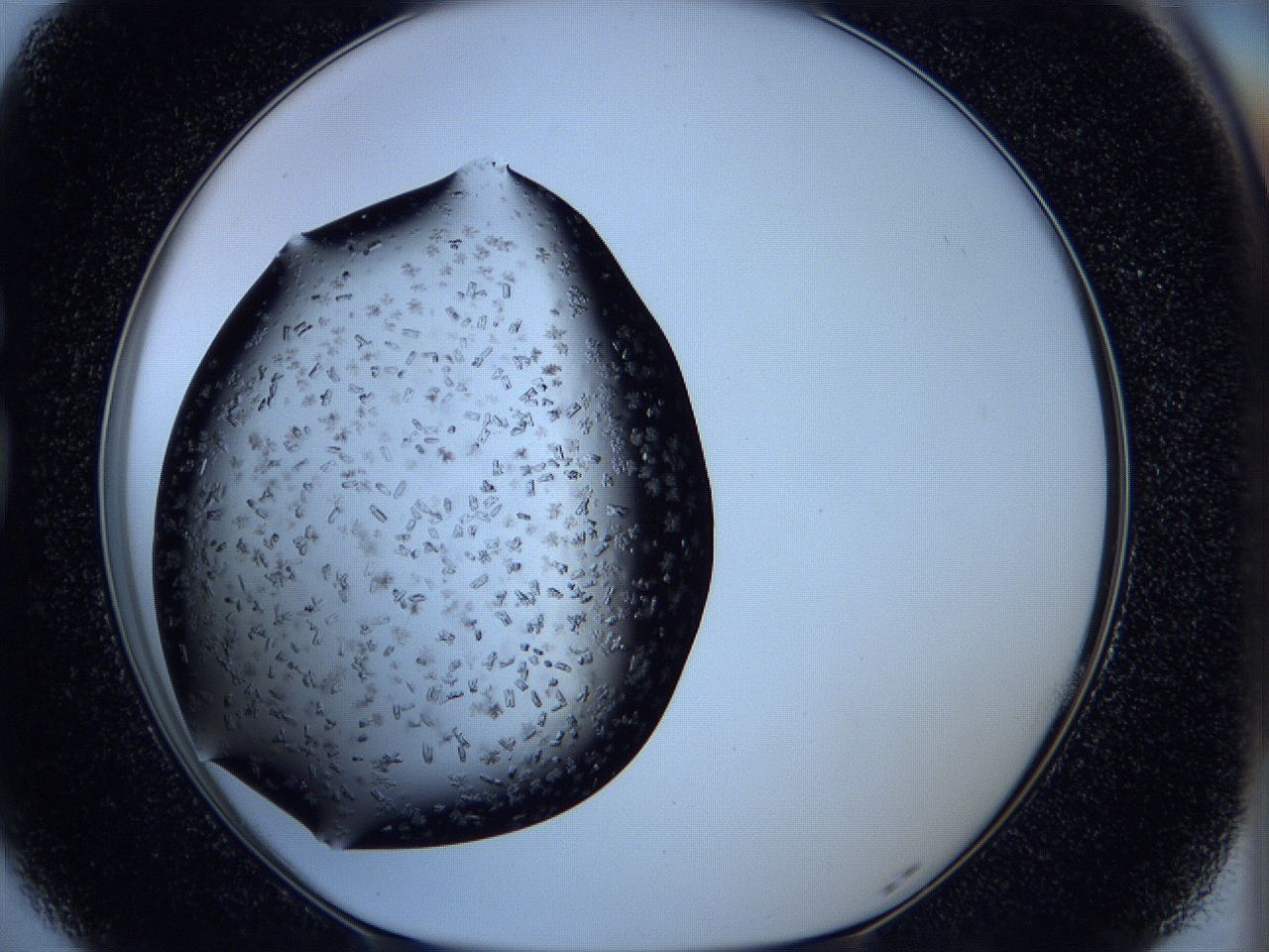 05ks_G5_ImagerDefaults_5.jpg