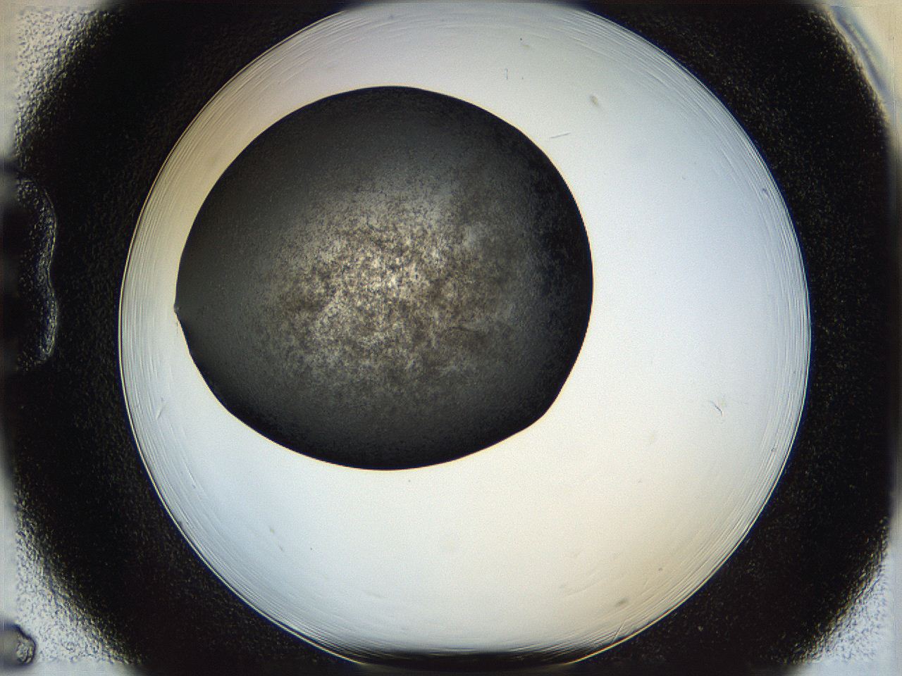 05kt_B6_ImagerDefaults_0.jpg