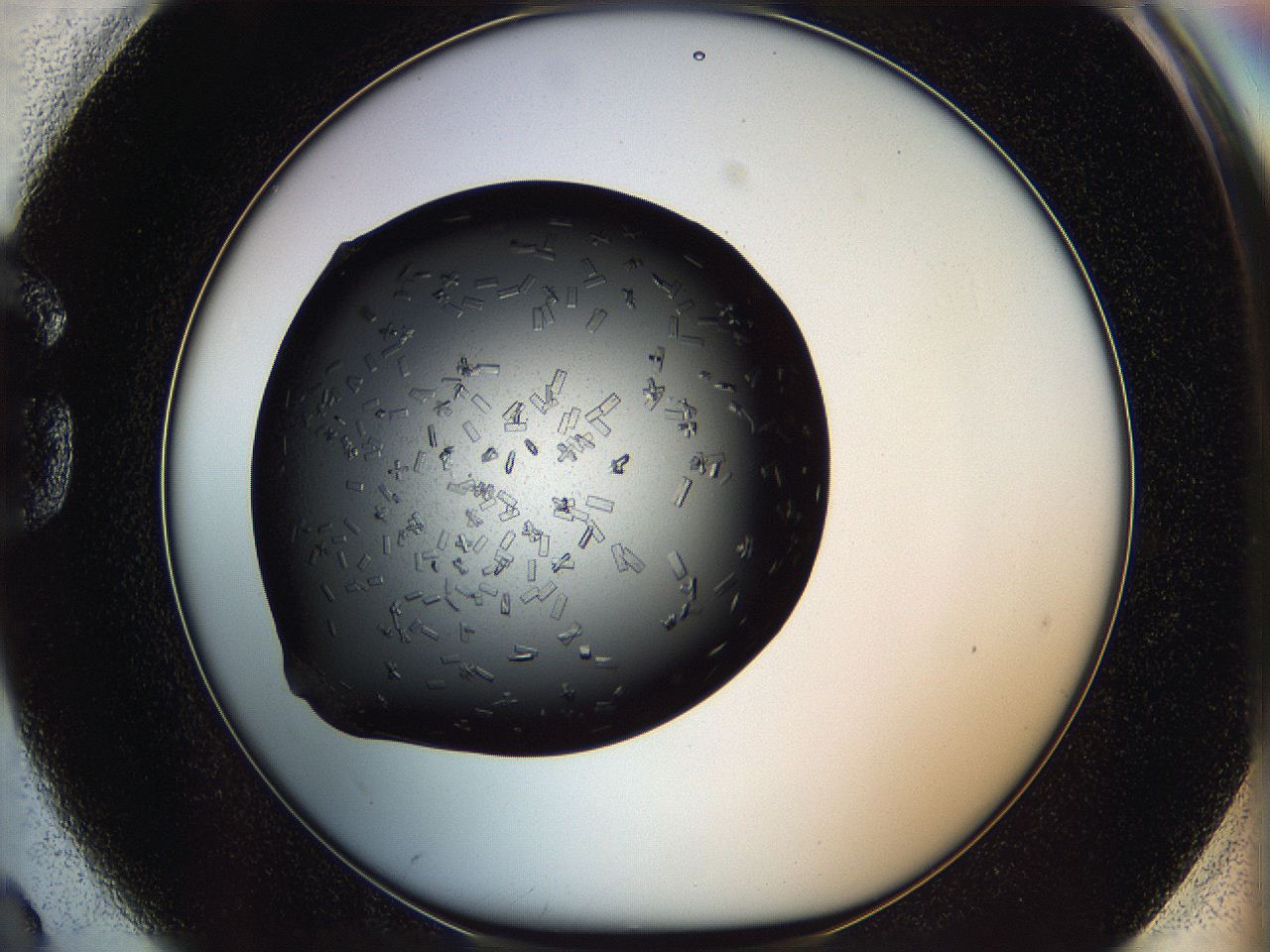 05kt_G2_ImagerDefaults_8.jpg