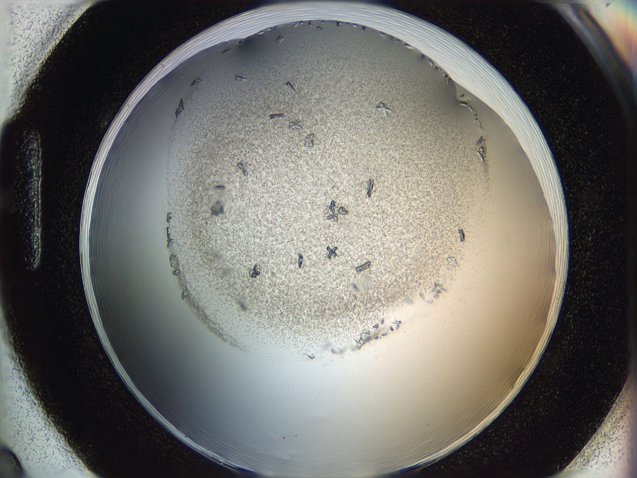 05kt_H2_ImagerDefaults_6.jpg