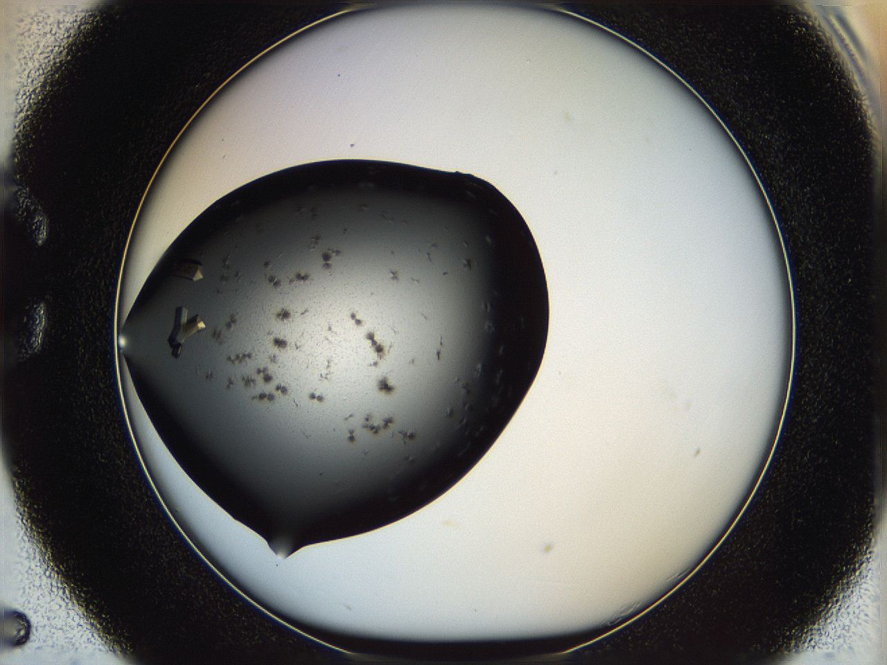 05kt_C5_ImagerDefaults_9.jpg