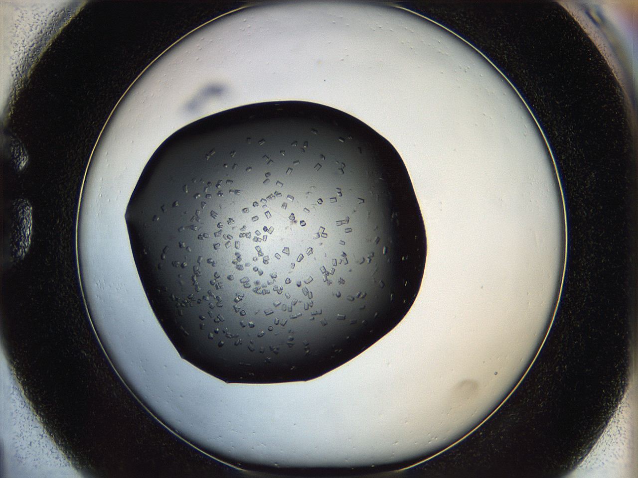05kt_G1_ImagerDefaults_6.jpg