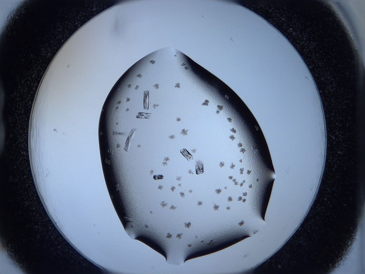 05ku_B6_ImagerDefaults_8.jpg