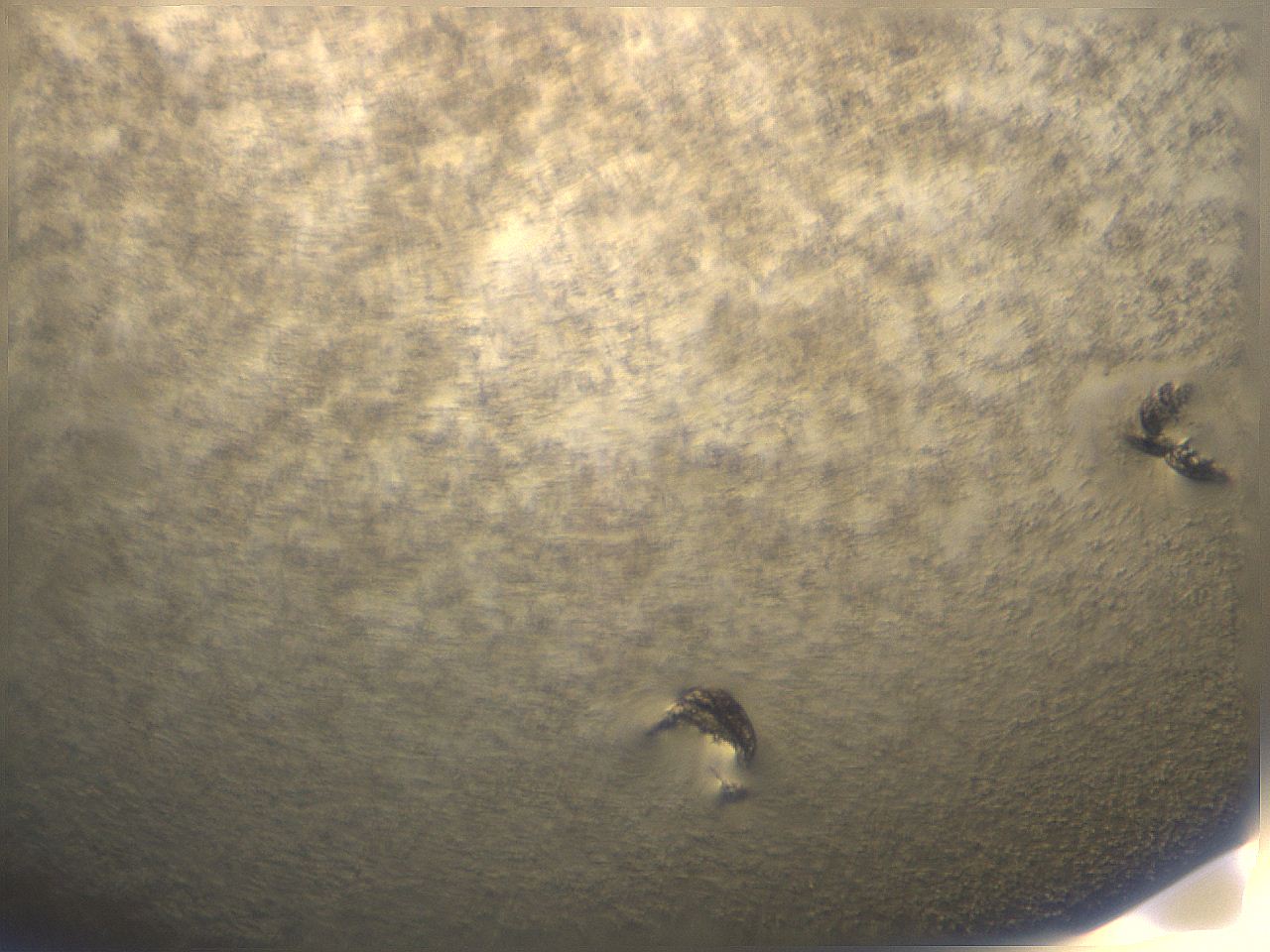 05kw_C2_ImagerDefaults_8.jpg