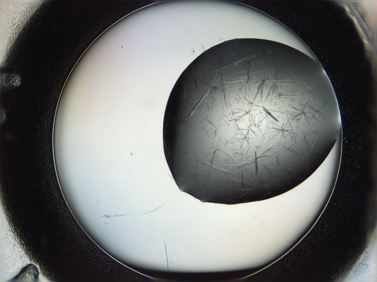 05kw_F11_ImagerDefaults_8.jpg