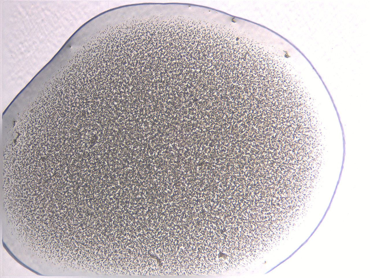 05l0_A11_ImagerDefaults_3.jpg