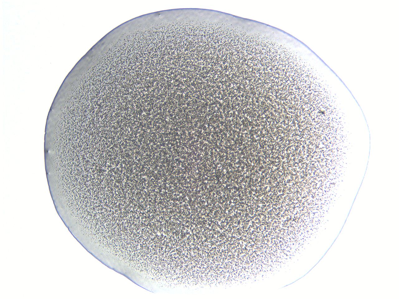05l0_B12_ImagerDefaults_3.jpg