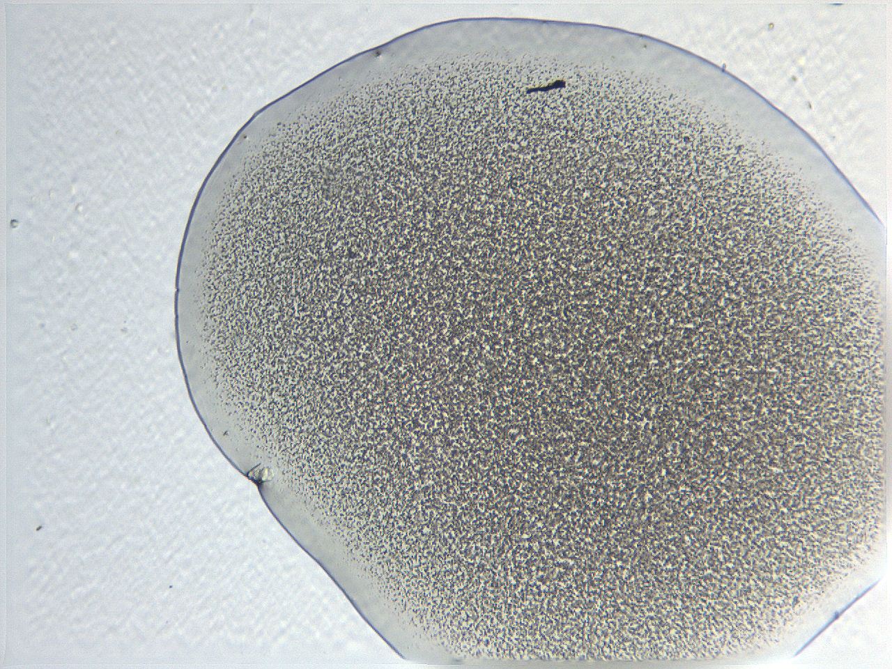 05l0_B11_ImagerDefaults_3.jpg