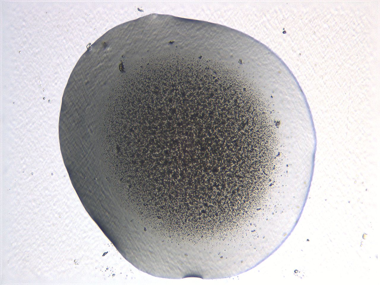 05l0_B10_ImagerDefaults_3.jpg
