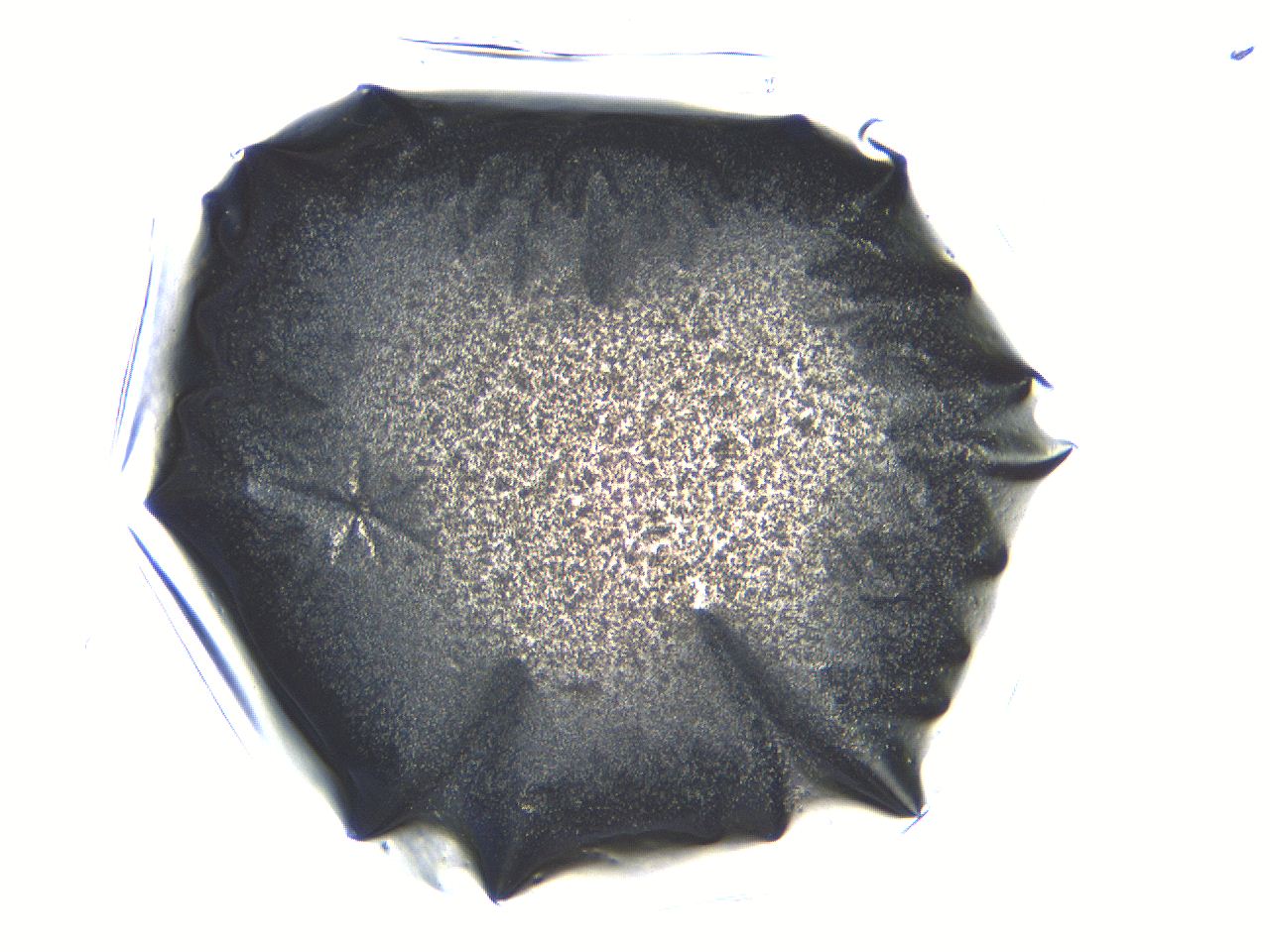 05l0_B1_ImagerDefaults_3.jpg