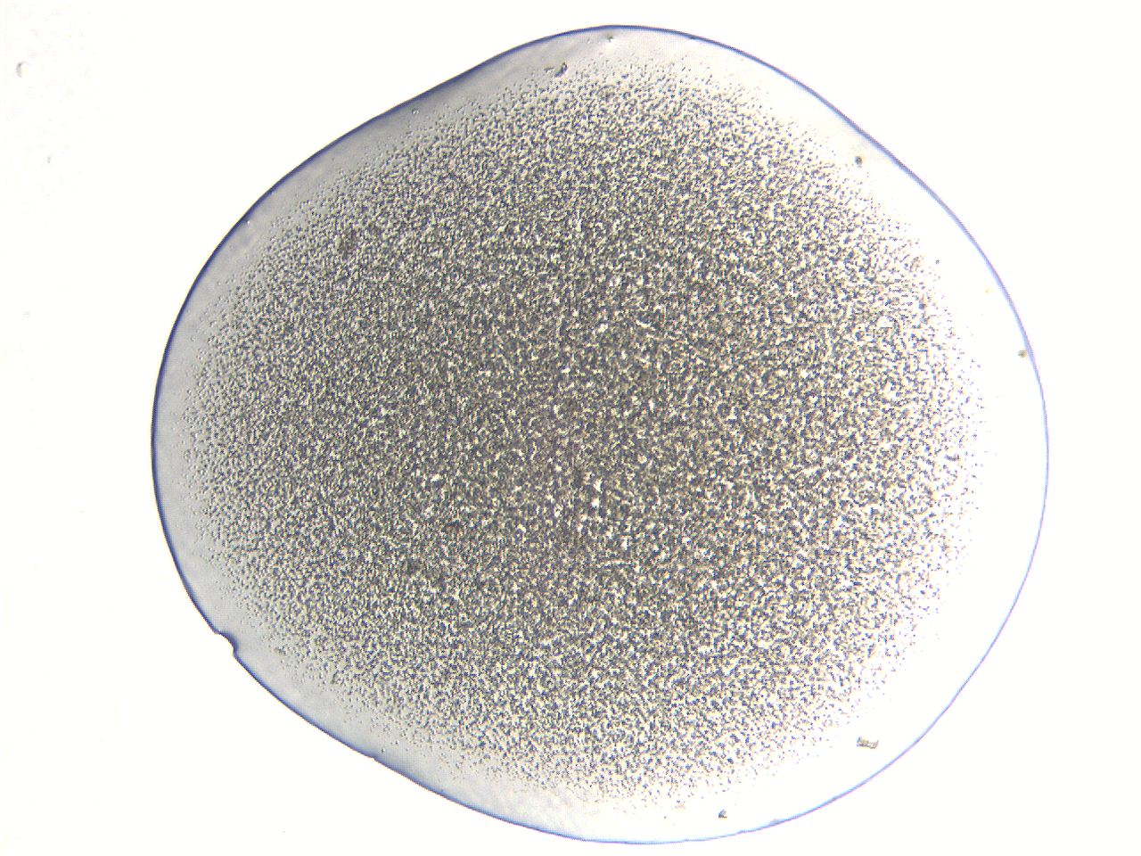 05l0_A12_ImagerDefaults_3.jpg