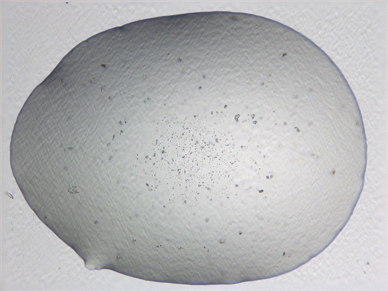 05l0_C2_ImagerDefaults_0.jpg