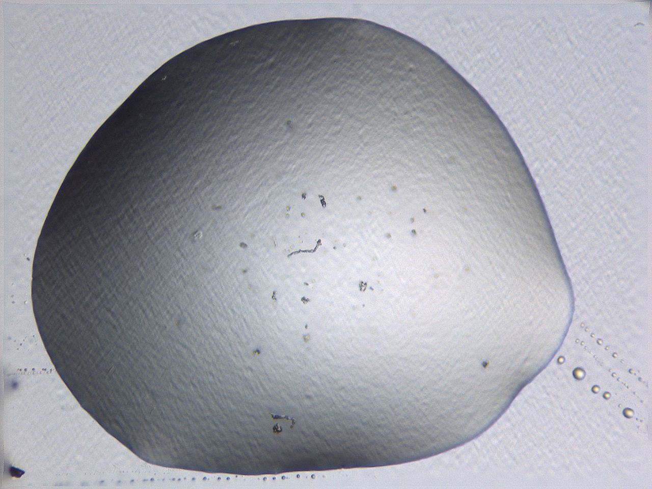 05l0_C7_ImagerDefaults_0.jpg