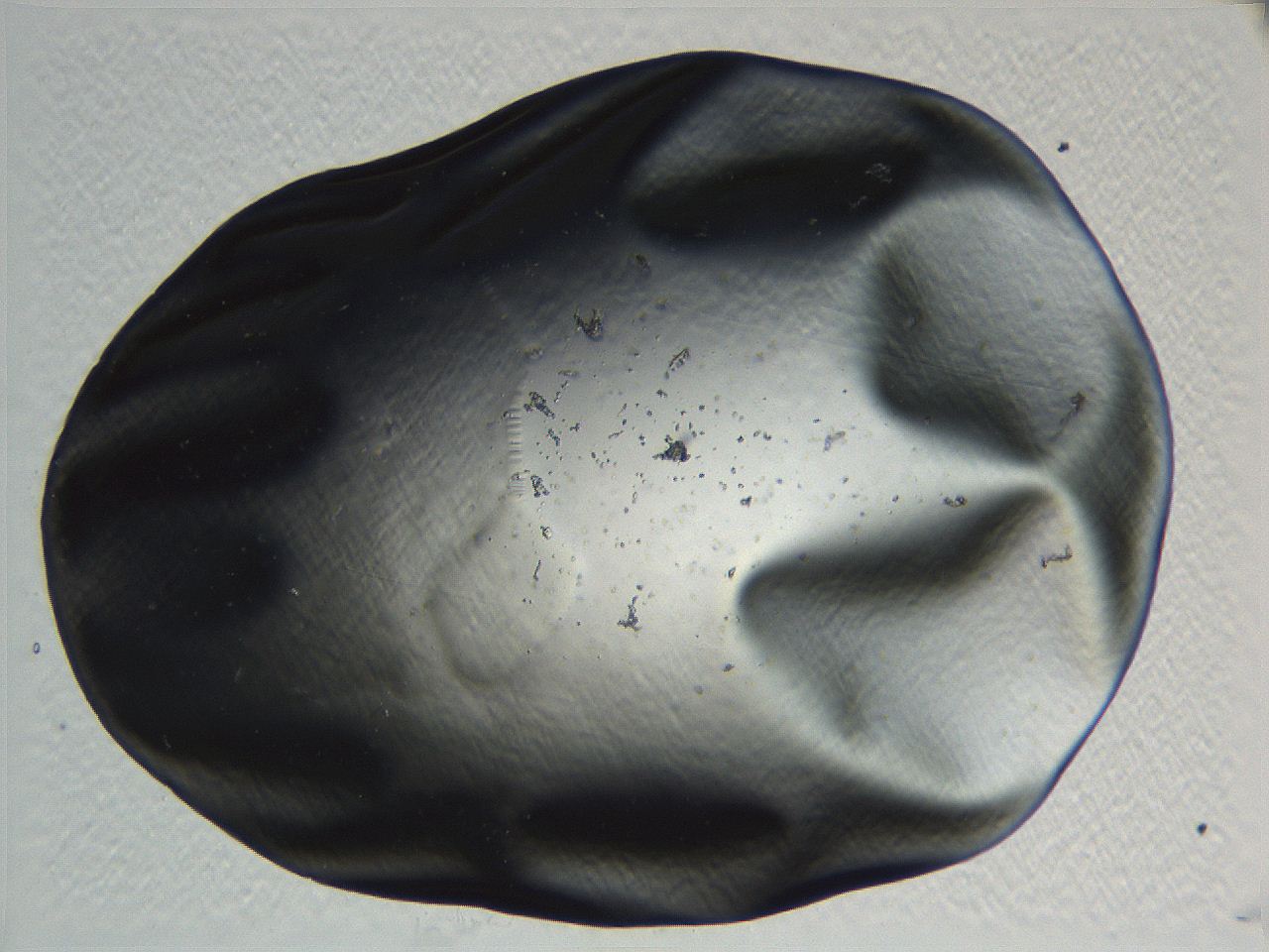 05l0_C10_ImagerDefaults_0.jpg