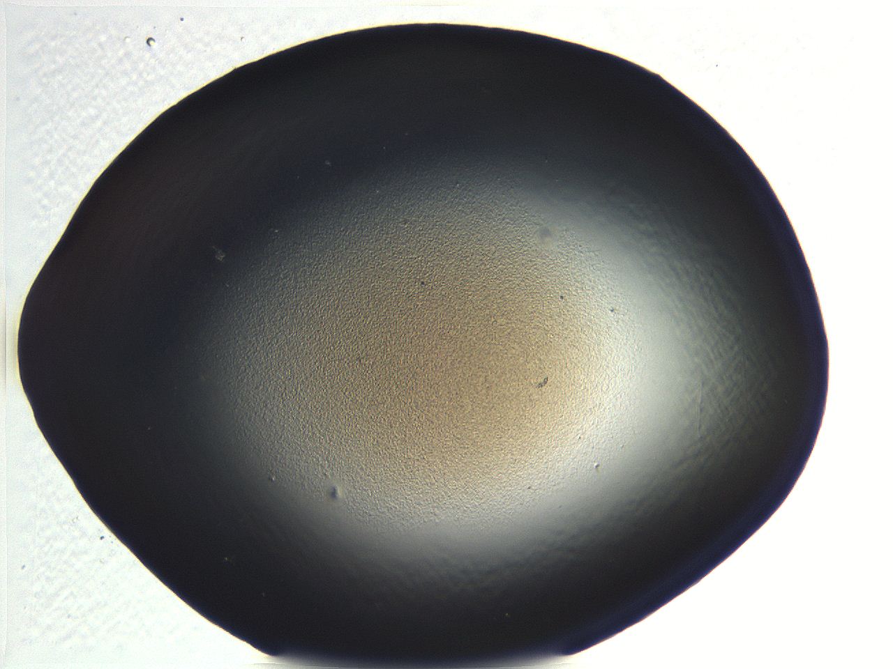 05l0_C12_ImagerDefaults_0.jpg