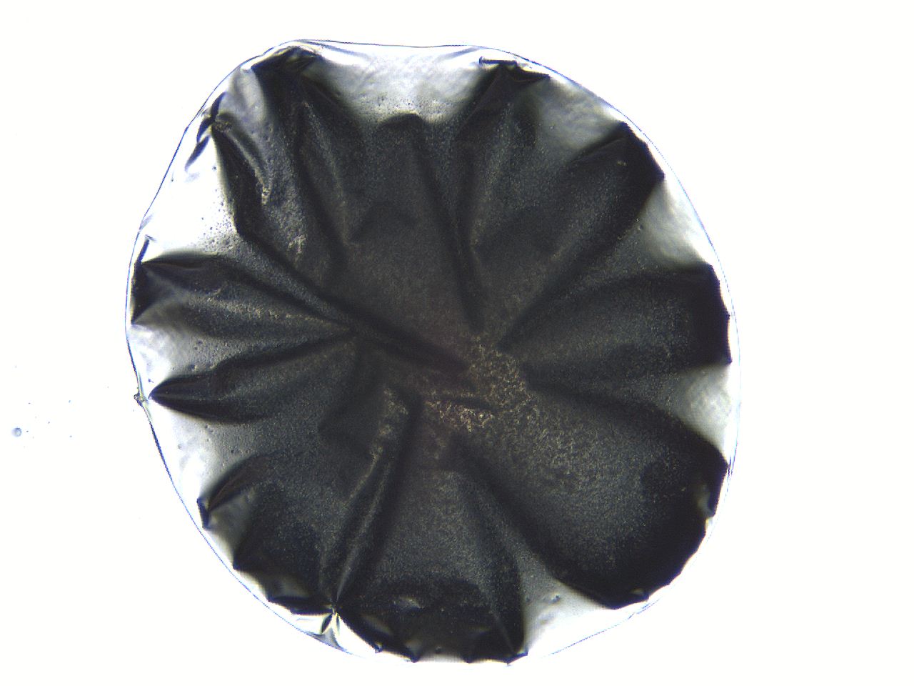 05l0_D6_ImagerDefaults_3.jpg