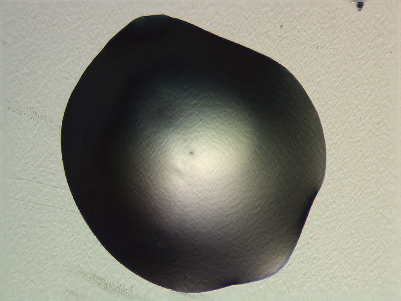 05l0_D9_ImagerDefaults_0.jpg
