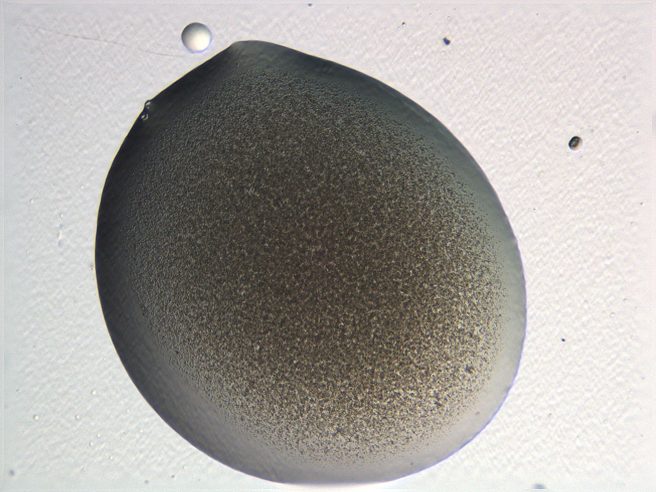 05l0_D12_ImagerDefaults_3.jpg
