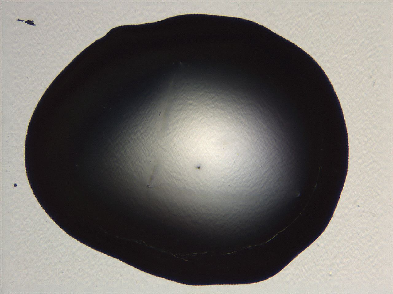 05l0_F1_ImagerDefaults_0.jpg