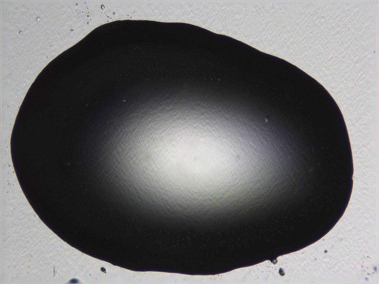 05l0_F5_ImagerDefaults_0.jpg