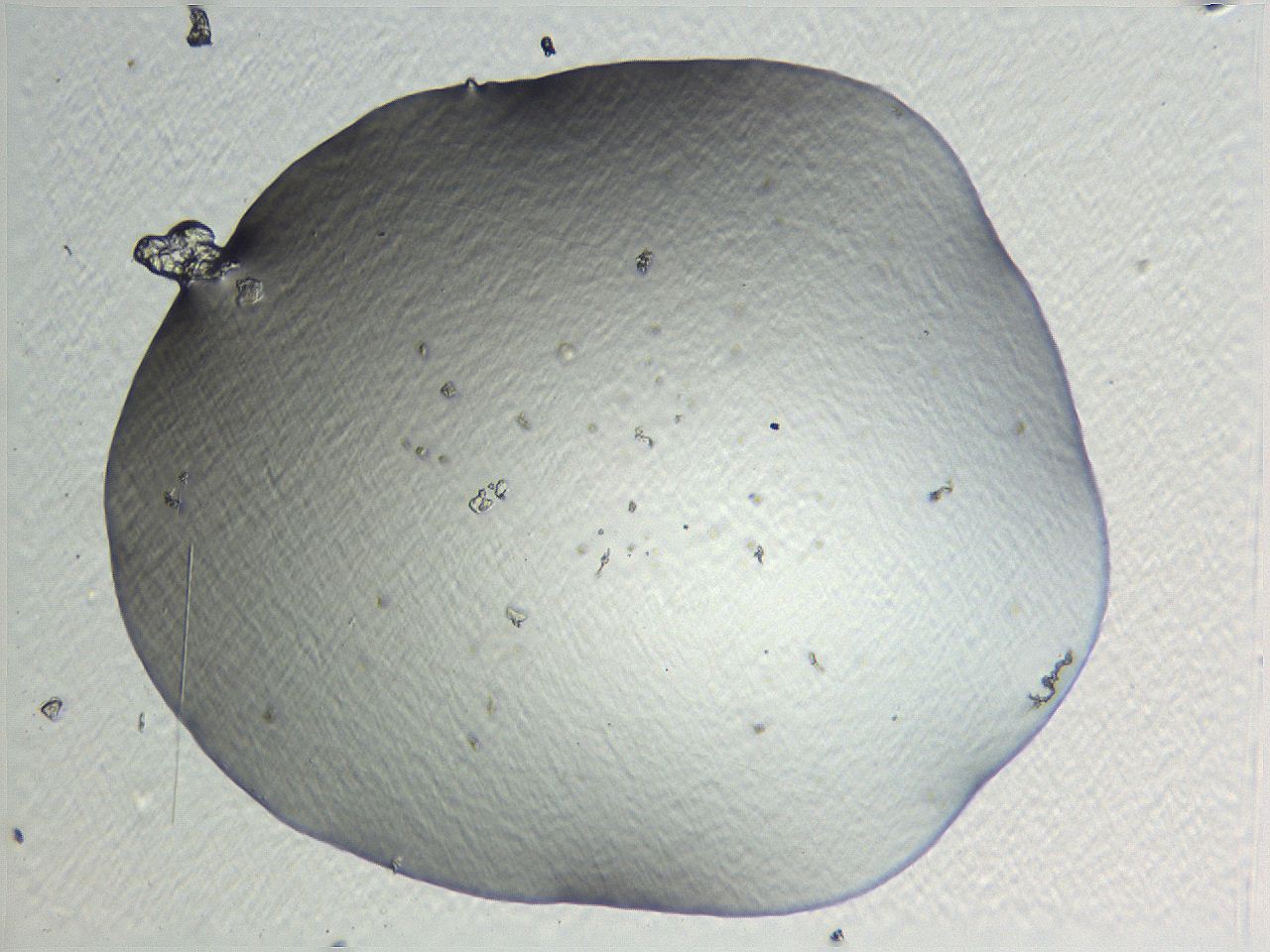 05l0_F6_ImagerDefaults_0.jpg